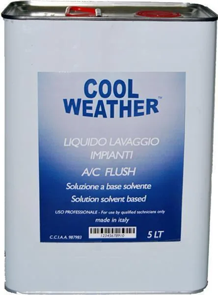 Solutie curatat clima Magneti Marelli 5 l, imagine produs