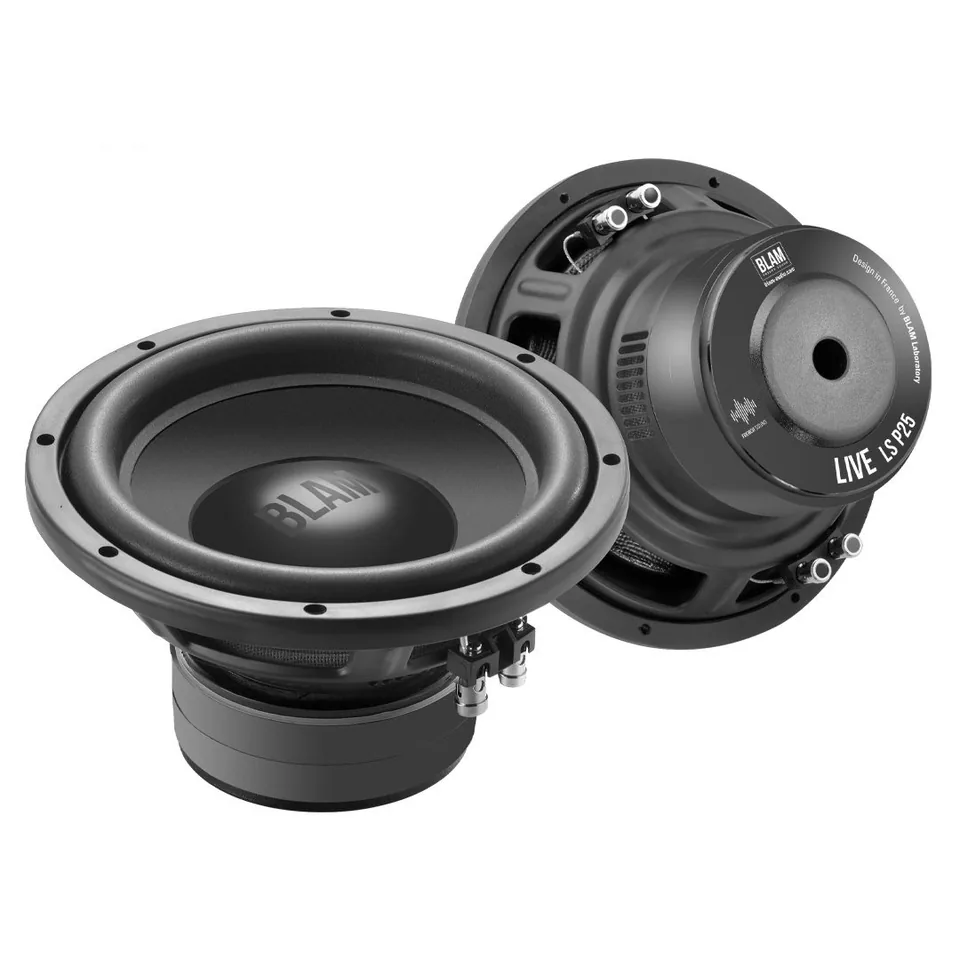 Difuzor auto subwoofer 250mm BLAM LSP25, imagine produs